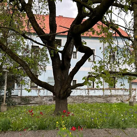 Apartmán Regina, Gratis W-lan *