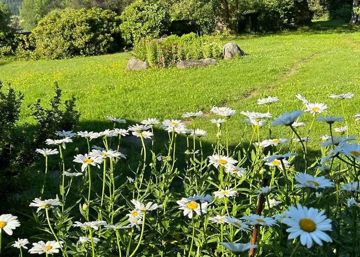 Apartmán Regina, Gratis W-lan