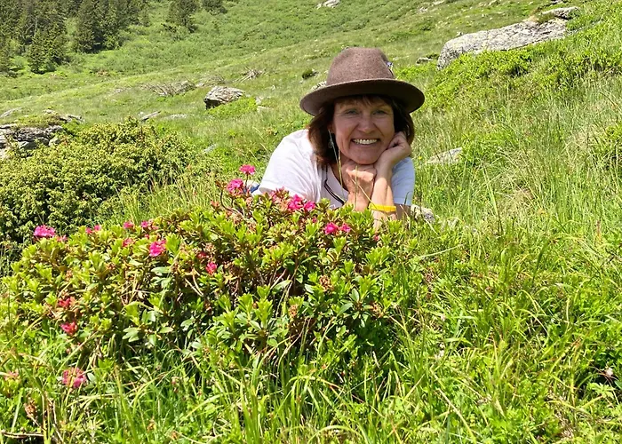 Regina, Gratis W-lan Knittelfeld