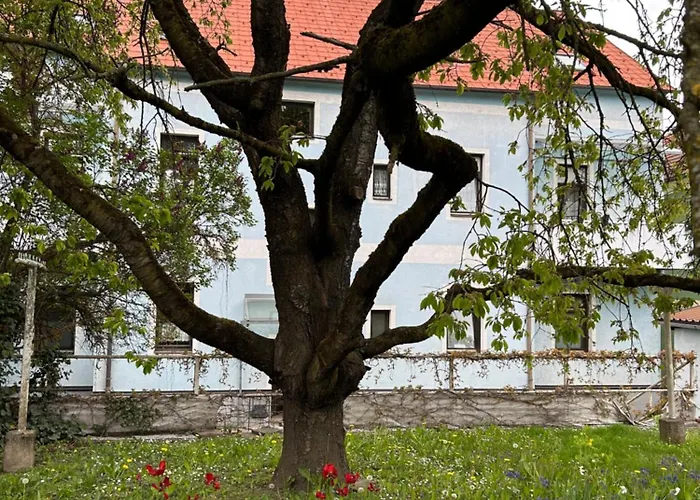 Apartmán Regina, Gratis W-lan *